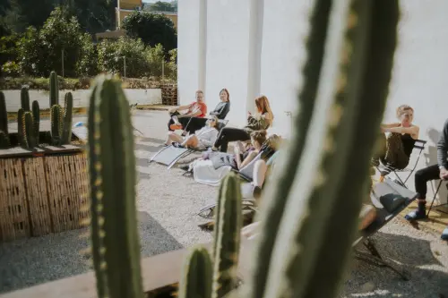 A diverse group of individuals seated on chairs in front of a collection of cactus plants at OMMIJ Healing Centre 